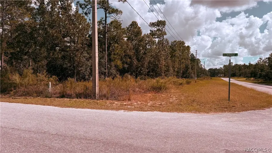 48 Glenridge Boulevard, Homosassa, FL 34446 - #2