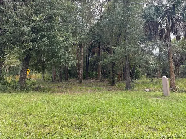 81 N Country Club Drive, Crystal River, FL 34429