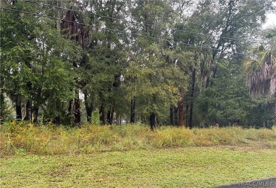 81 N Country Club Drive, Crystal River, FL 34429 - #3