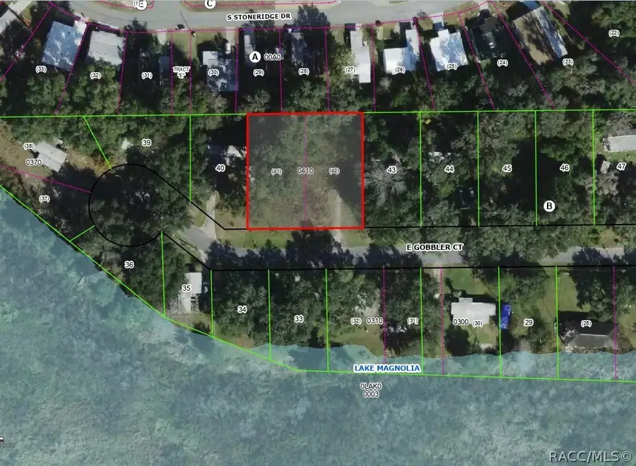 8065 E Gobbler Court, Floral City, FL 34436 - #2