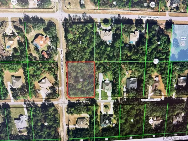 3425 W Brazilnut Road, Beverly Hills, FL 34465