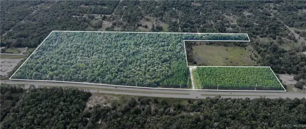 1620 E Norvell Bryant Highway, Hernando, FL 34442
