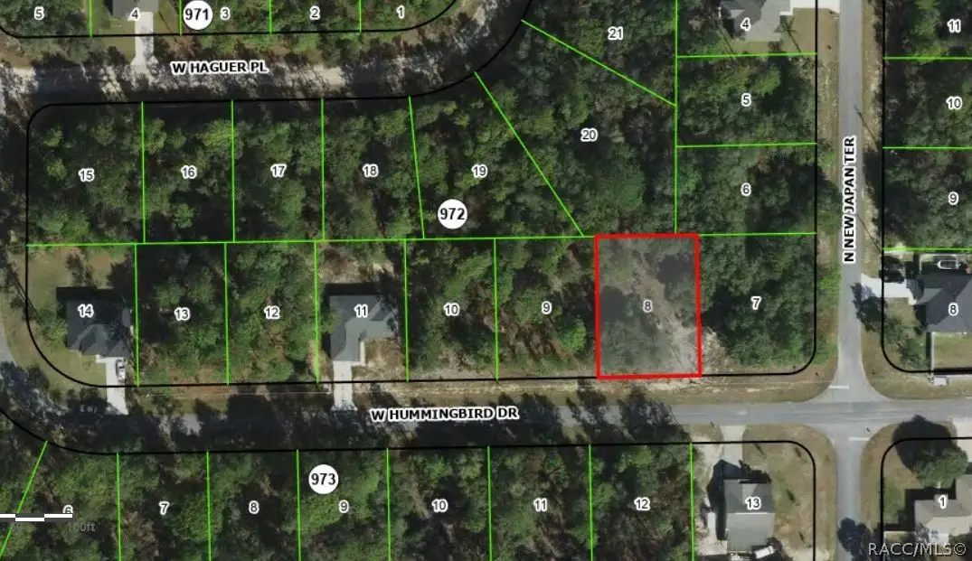685 W Hummingbird Drive, Citrus Springs, FL 34434 - #1