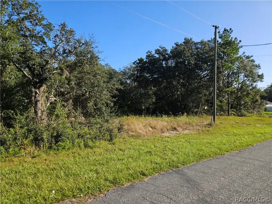 685 W Hummingbird Drive, Citrus Springs, FL 34434 - #2