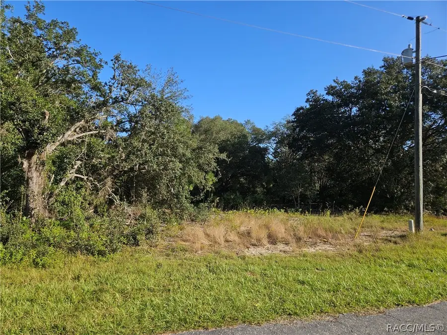 685 W Hummingbird Drive, Citrus Springs, FL 34434 - #3