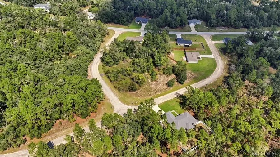 9299 N Rada Terrace, Citrus Springs, FL 34434 - #2