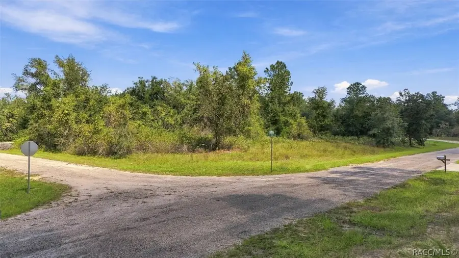 9299 N Rada Terrace, Citrus Springs, FL 34434 - #3