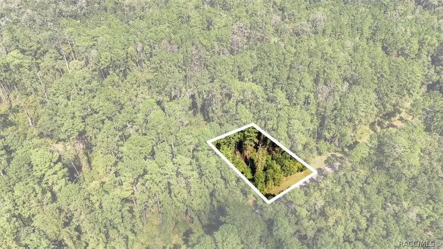 1043 E Toledo Drive, Citrus Springs, FL 34434 - #3