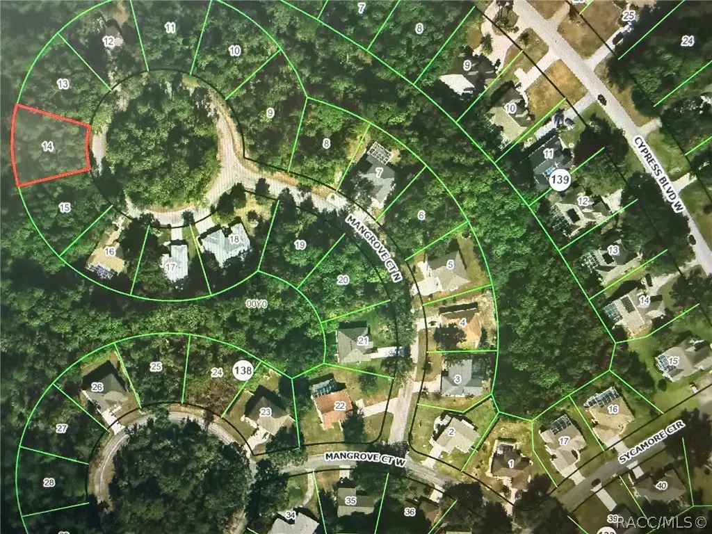 22 Mangrove Court N, Homosassa, FL 34446 - #1