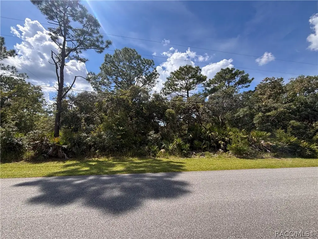 1072 S Candlenut Avenue, Homosassa, FL 34448 - #1