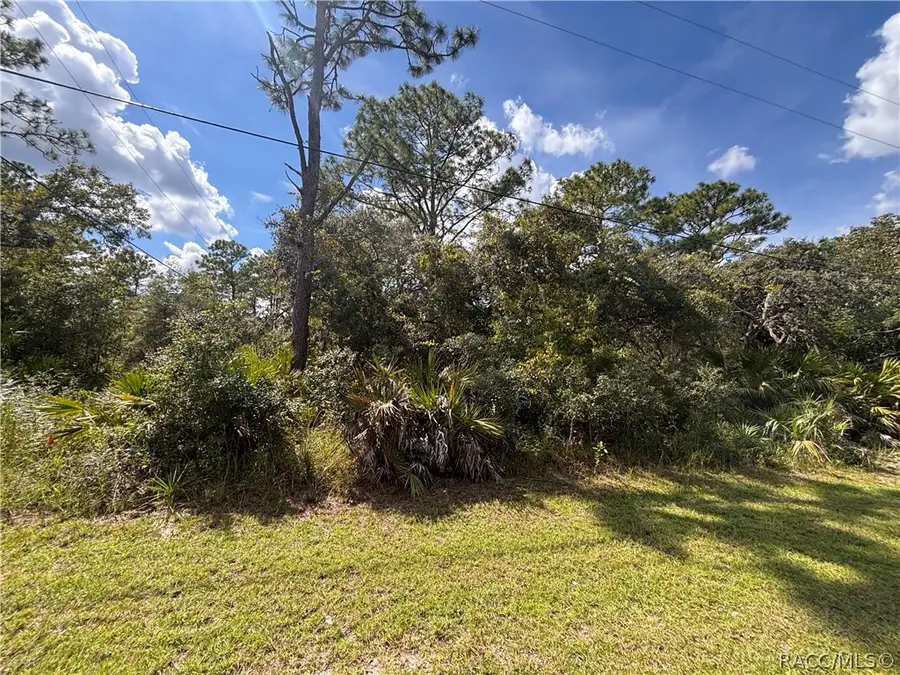 1072 S Candlenut Avenue, Homosassa, FL 34448 - #2