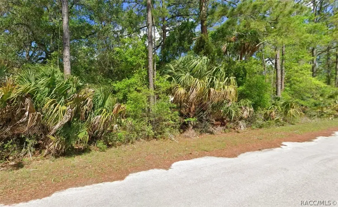 9218 N Bromeliad Terrace, Crystal River, FL 34428 - #1
