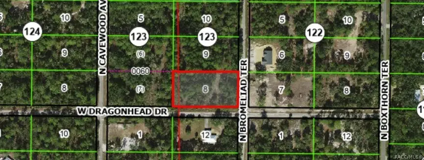 9218 N Bromeliad Terrace, Crystal River, FL 34428 - #2