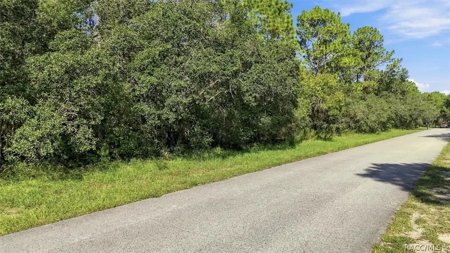 6096 W Ponderosa Place, Beverly Hills, FL 34465 - #2