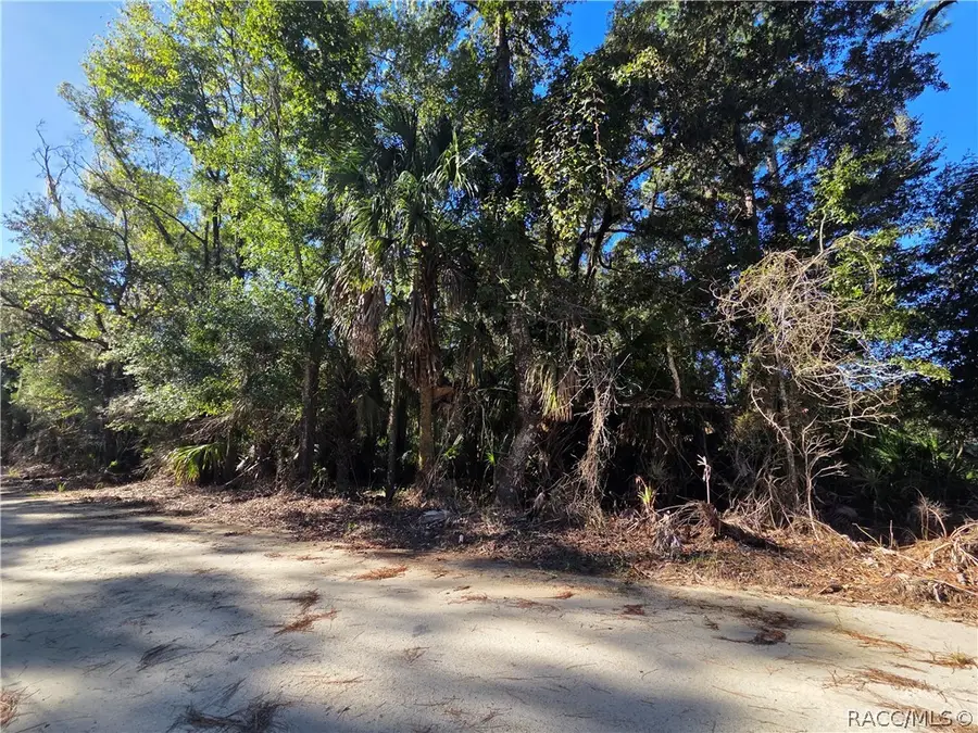 0 Se Hwy 19, Inglis, FL 34449 - #2