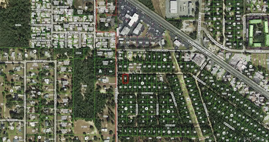 3005 Clearwood Street, Inverness, FL 34452 - #2