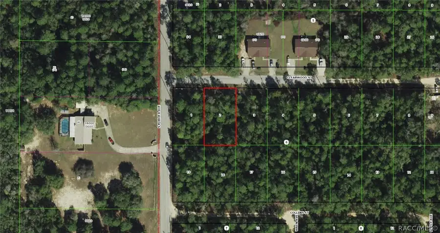 3005 Clearwood Street, Inverness, FL 34452 - #3