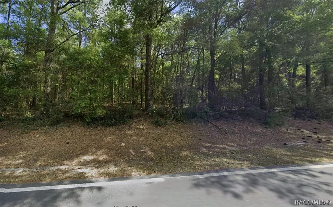 9721 N Citrus Springs Boulevard, Citrus Springs, FL 34434 - #1