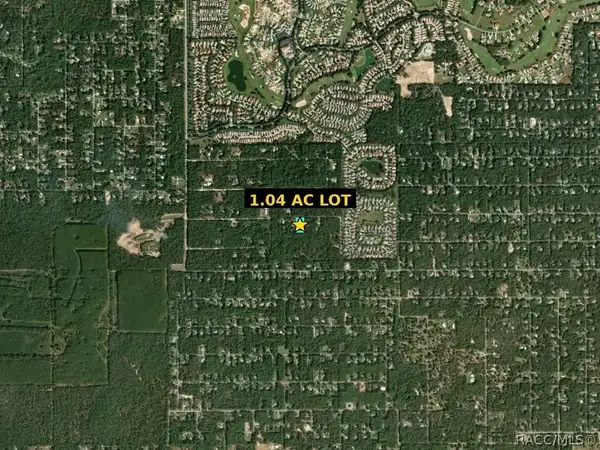 1434 W Milan Lane, Hernando, FL 34442