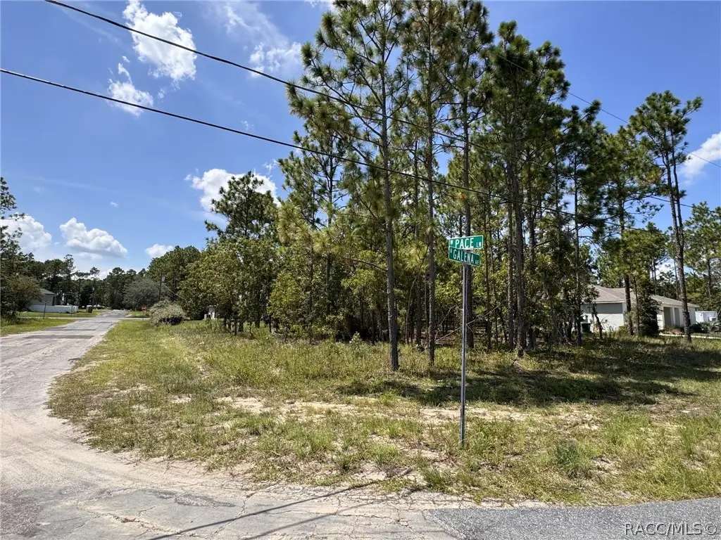 7722 N Galena Avenue, Citrus Springs, FL 34434 - #1