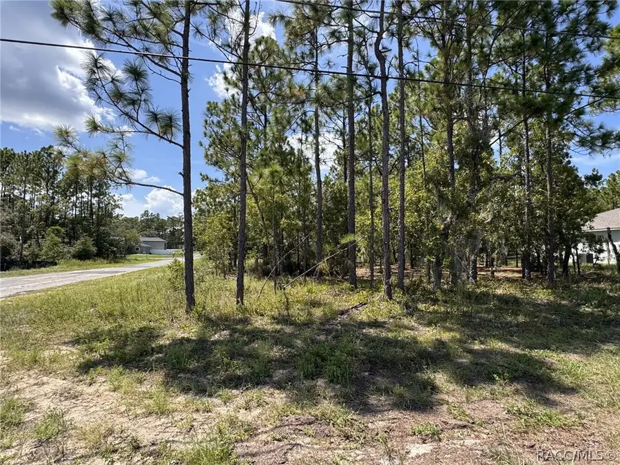 7722 N Galena Avenue, Citrus Springs, FL 34434 - #2
