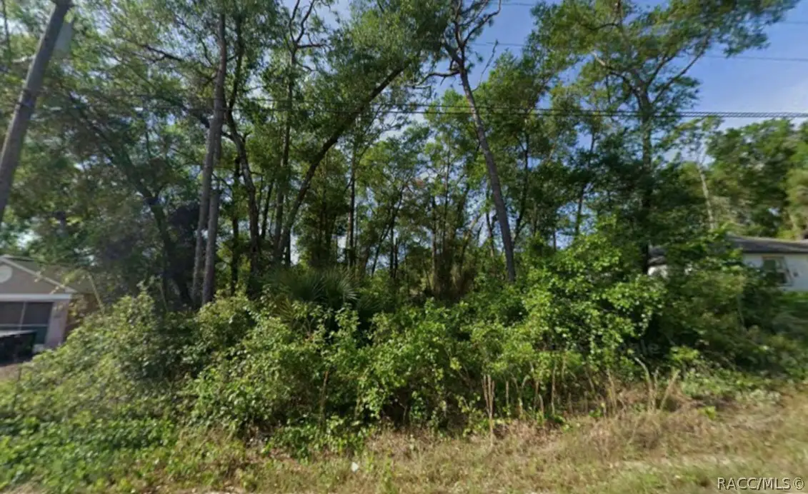6490 E Willow Street, Inverness, FL 34452 - #1