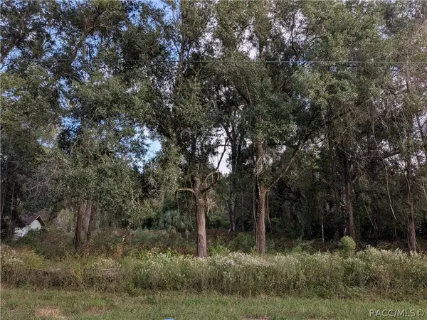 12475 S Istachatta Road, Floral City, FL 34436