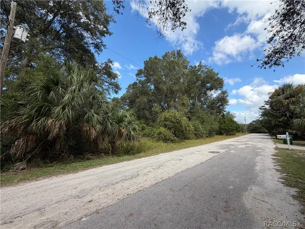 8723 W Bass Lake Road, Crystal River, FL 34428 - #1