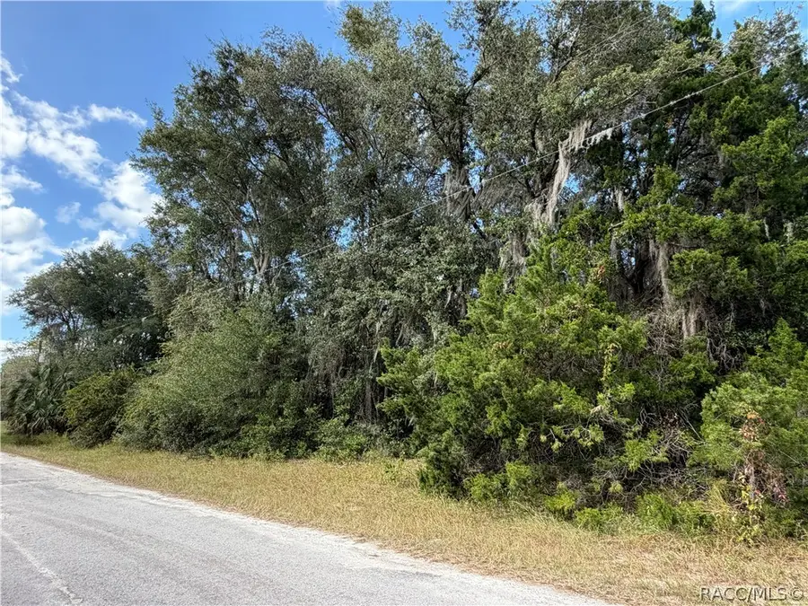 8723 W Bass Lake Road, Crystal River, FL 34428 - #2