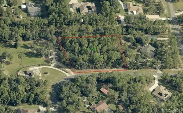 4555 W Tomahawk Drive, Beverly Hills, FL 34465