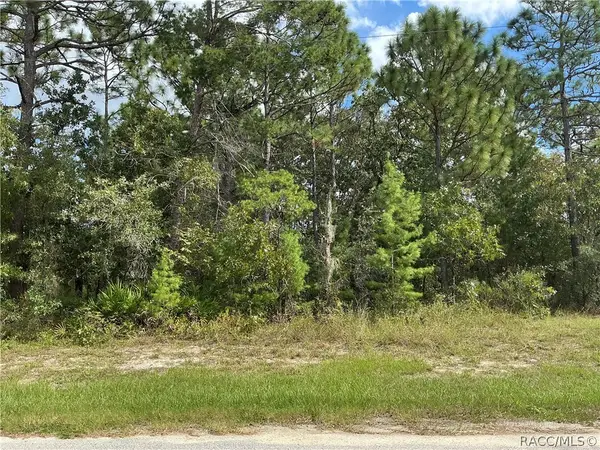 29 Oak Village Boulevard S, Homosassa, FL 34446