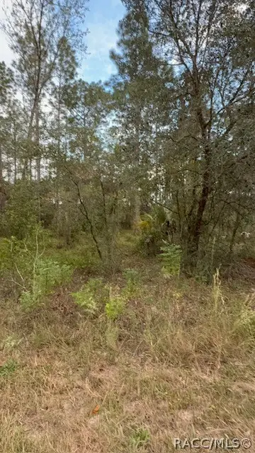 Address Withheld By Seller, Dunnellon, FL 34431 - #1