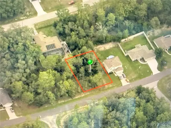 3219 W Babcock Place, Citrus Springs, FL 34433