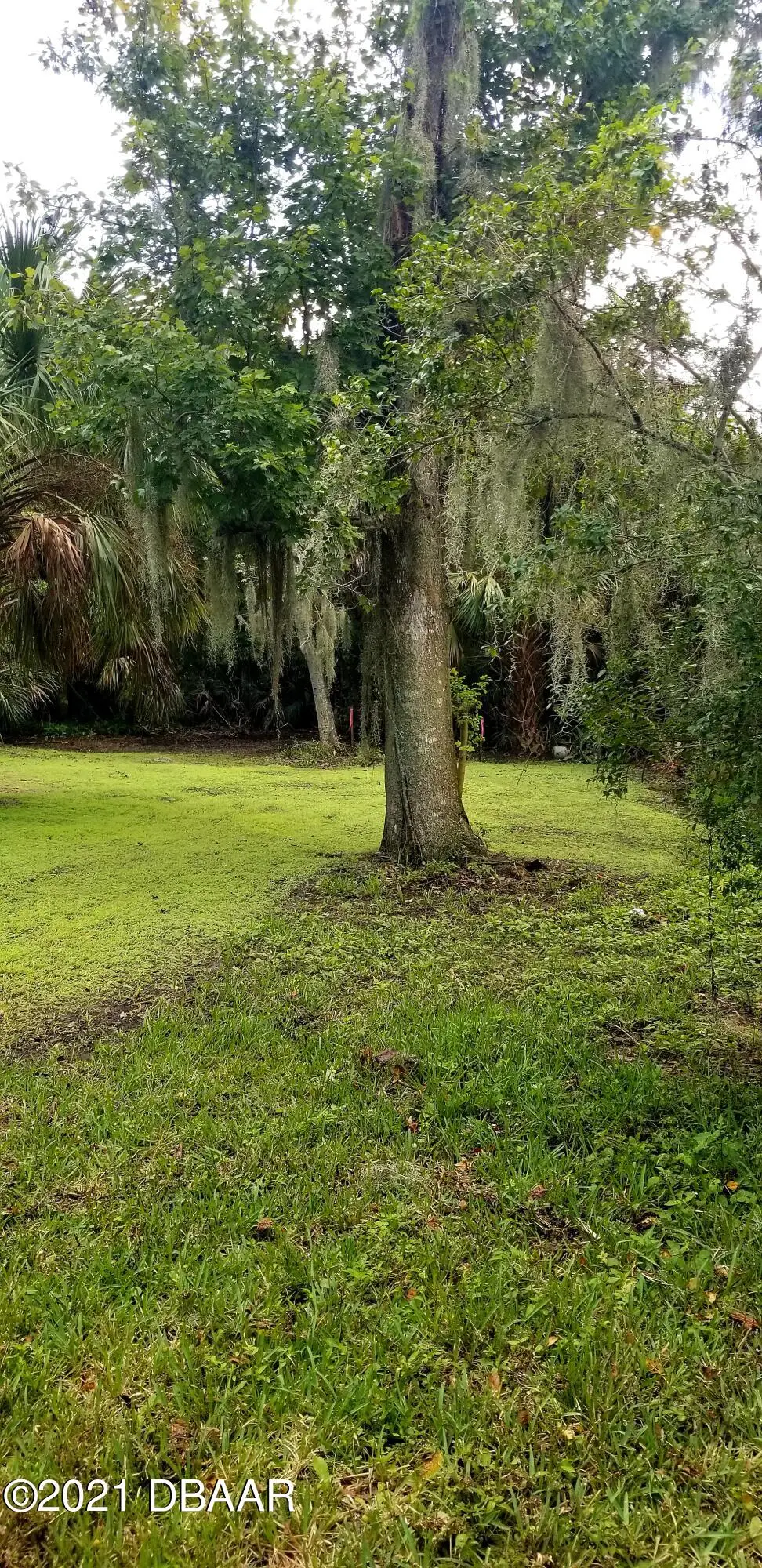 218 Herbert Street, Port Orange, FL 32129 - #1