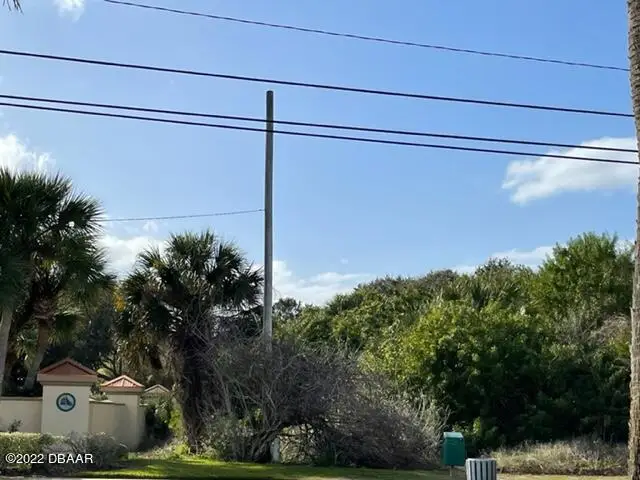 4572 S Peninsula Drive, Ponce Inlet, FL 32127 - Image #3