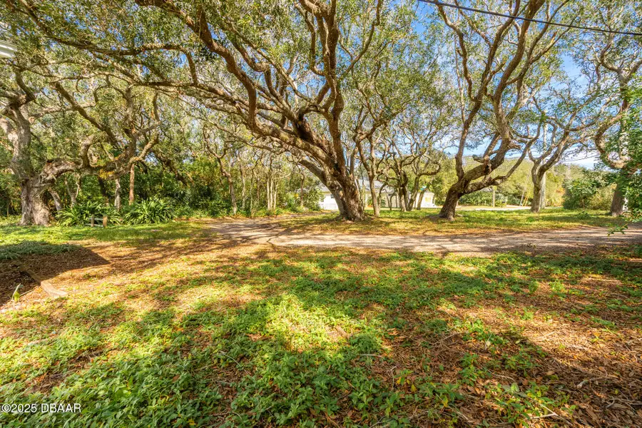 4770 S Peninsula Drive, Ponce Inlet, FL 32127 - Image #3