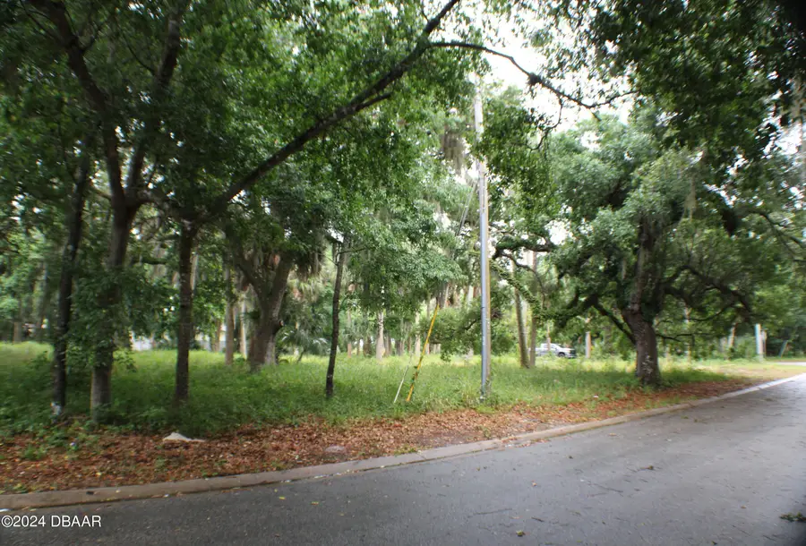 48 Valley Street, Port Orange, FL 32129 - #3