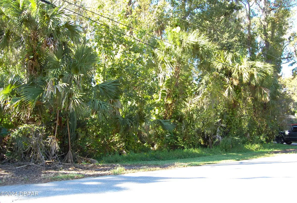 332 Patricia Drive, New Smyrna Beach, FL 32168 - #1