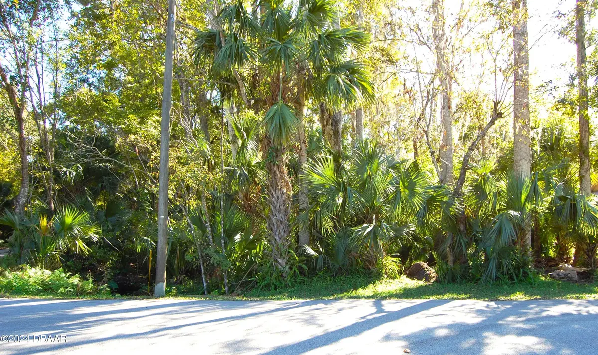 0 Palm Drive, New Smyrna Beach, FL 32168 - #1