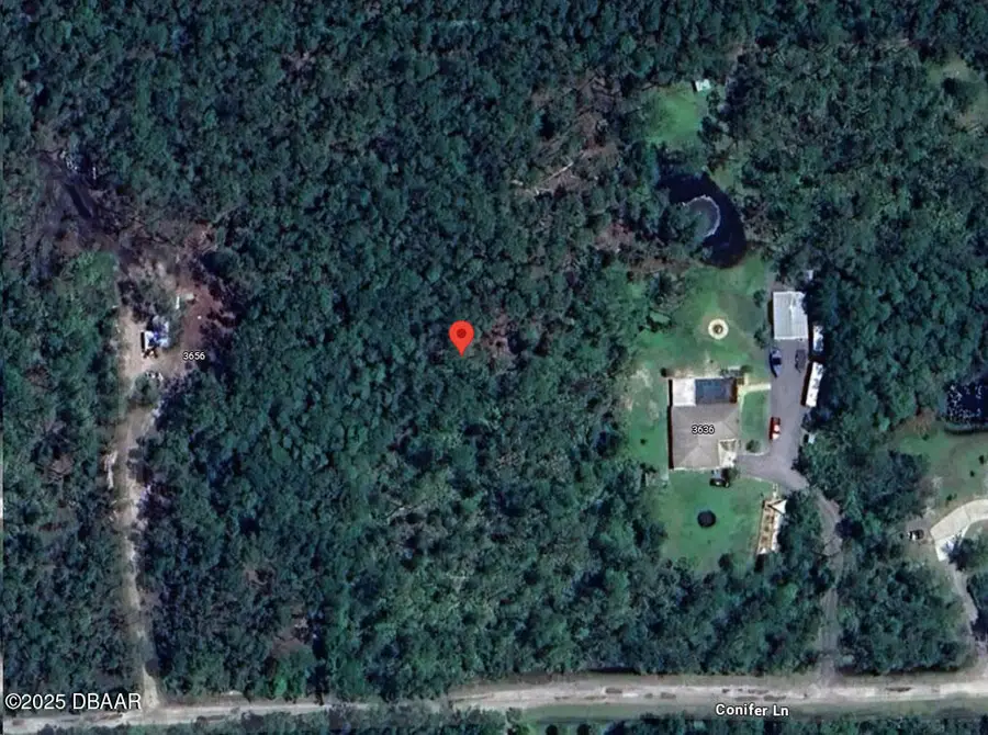 3646 Conifer Lane, Ormond Beach, FL 32174 - Image #3