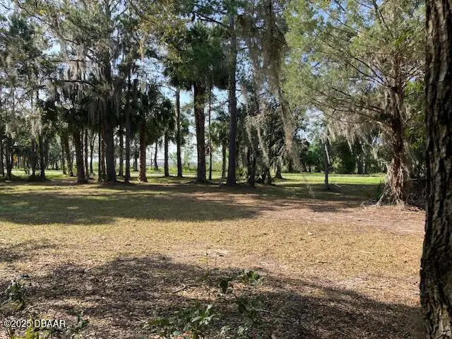 0 Shell Harbor Road, Pierson, FL 32180 - Image #2
