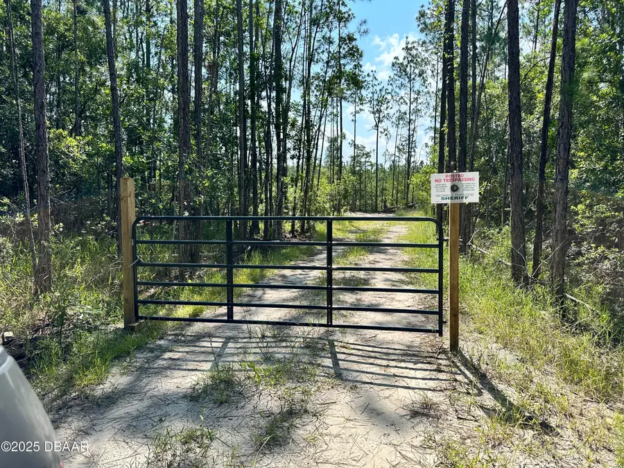 3789 Pine Pitch Court, Ormond Beach, FL 32174 - #2