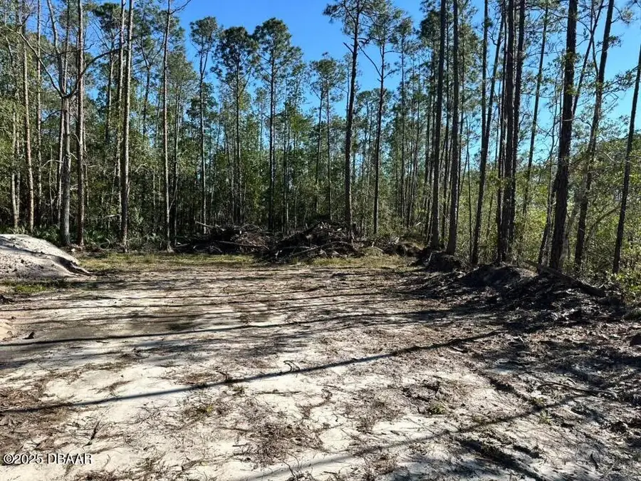 3789 Pine Pitch Court, Ormond Beach, FL 32174 - #3