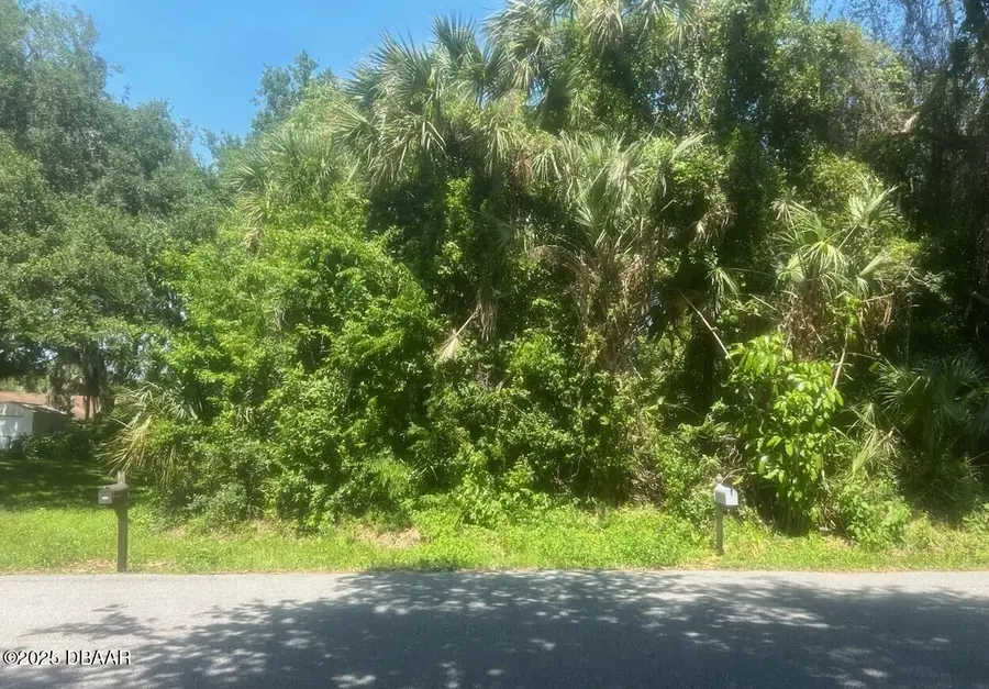 00 Orange Tree Drive, Edgewater, FL 32141 - Image #2