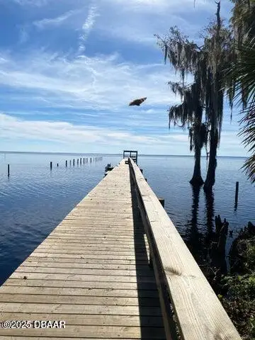 253 Georgetown Denver Road, Georgetown, FL 32139 - Image #2