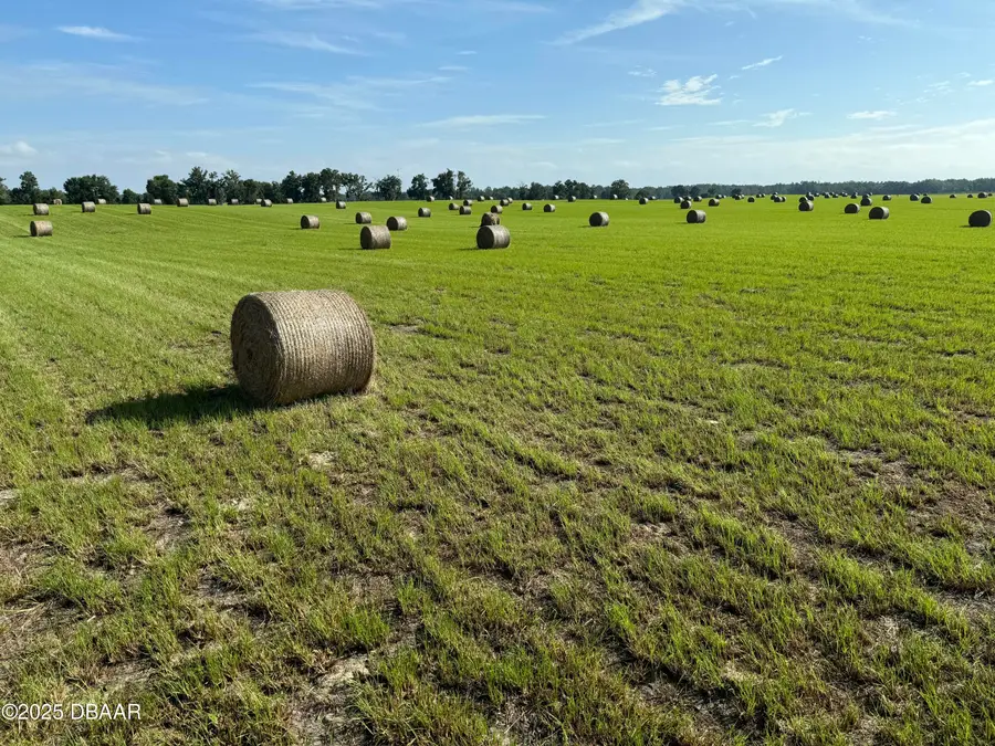 72 Nw Place, Bell, FL 32619 - Image #2