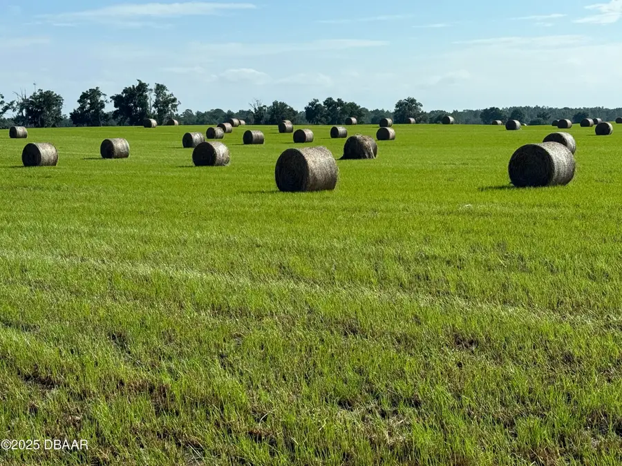 72 Nw Place, Bell, FL 32619 - Image #3