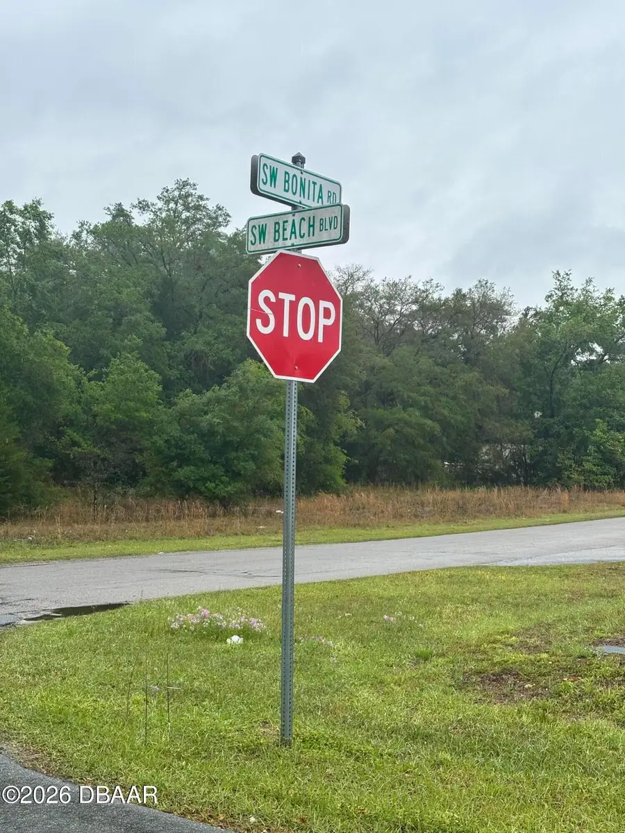 00 Beach Boulevard, Dunnellon, FL 34431 - #3