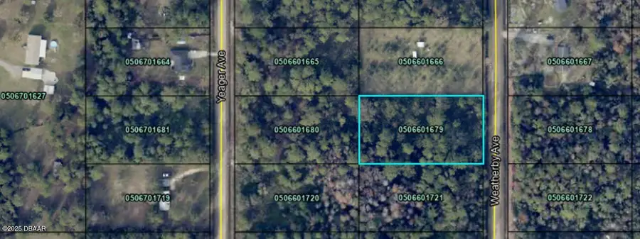 10675 Weatherby Avenue, Hastings, FL 32145 - #3