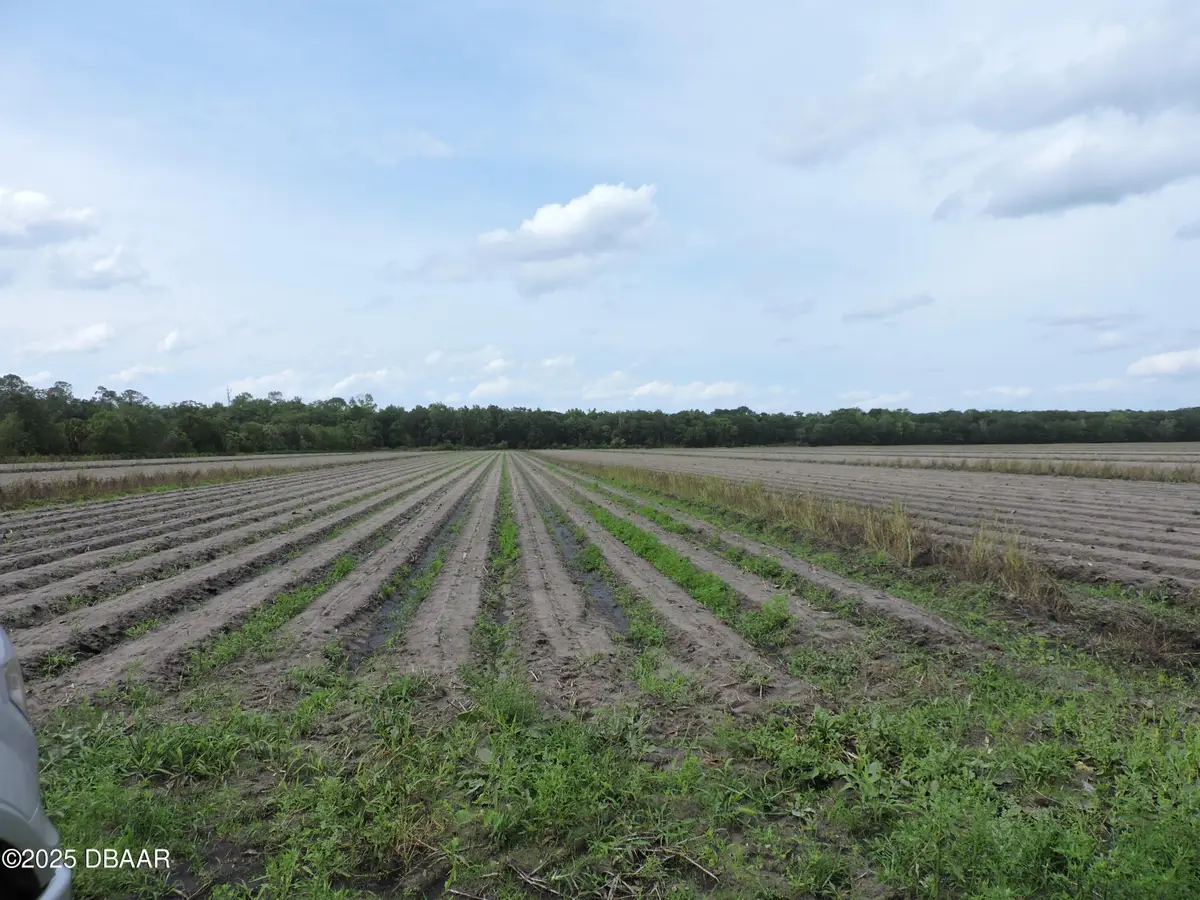 000 County Road 108, Bunnell, FL 32110 - Image #1